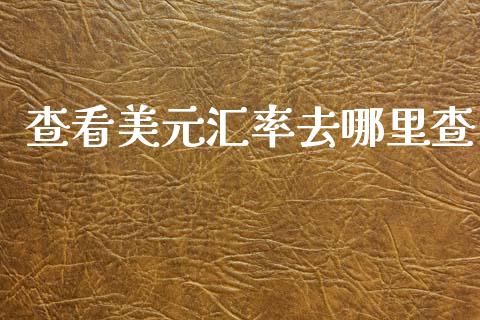 查看美元汇率去哪里查_https://wap.78312.cn_期货开户_第1张