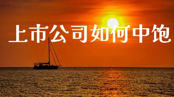 上市公司如何中饱_https://wap.78312.cn_外汇交易_第1张