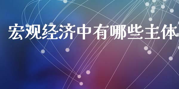 宏观经济中有哪些主体_https://wap.78312.cn_外汇交易_第1张
