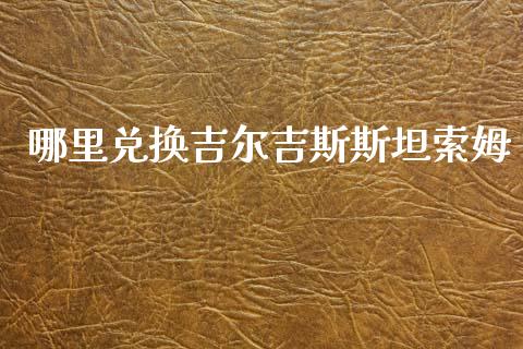 哪里兑换吉尔吉斯斯坦索姆_https://wap.78312.cn_外汇交易_第1张