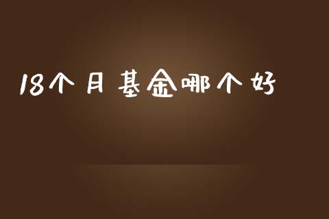 18个月基金哪个好_https://wap.78312.cn_期货开户_第1张