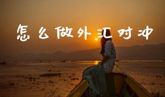 怎么做外汇对冲_https://wap.78312.cn_金融监管_第1张