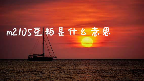 m2105豆粕是什么意思_https://wap.78312.cn_外汇交易_第1张