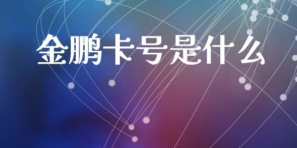金鹏卡号是什么_https://wap.78312.cn_债券资讯_第1张