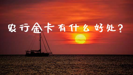 农行金卡有什么好处?_https://wap.78312.cn_期货开户_第1张
