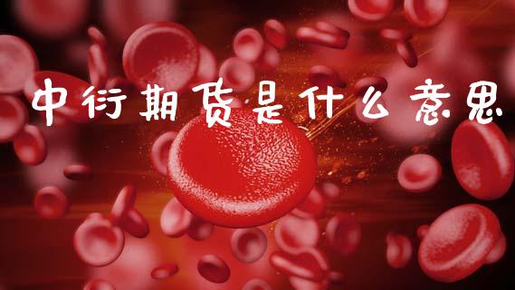 中衍期货是什么意思_外汇交易_第1张_期货开户_金融监管_外汇交易_债券资讯_全球市场_财经新闻 中衍期货是什么意思_https://wap.78312.cn_外汇交易_第1张