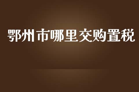 鄂州市哪里交购置税_https://wap.78312.cn_债券资讯_第1张