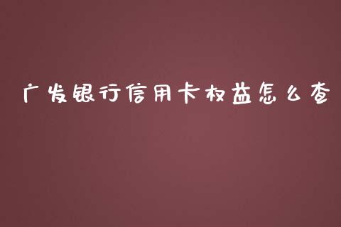 广发银行信用卡权益怎么查_https://wap.78312.cn_财经新闻_第1张