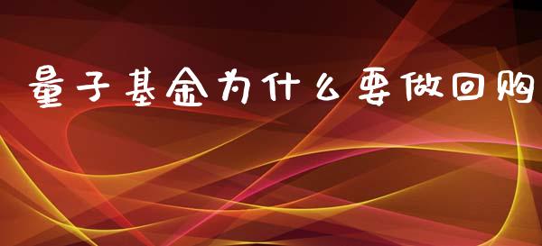 量子基金为什么要做回购_https://wap.78312.cn_外汇交易_第1张
