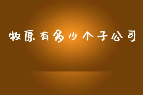 牧原有多少个子公司_https://wap.78312.cn_财经新闻_第1张