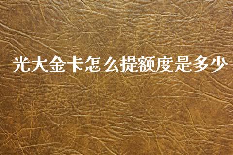 光大金卡怎么提额度是多少_https://wap.78312.cn_金融监管_第1张