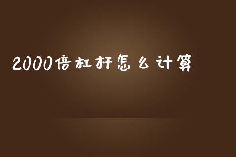2000倍杠杆怎么计算_https://wap.78312.cn_债券资讯_第1张