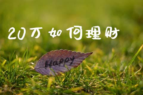20万如何理财_https://wap.78312.cn_期货开户_第1张