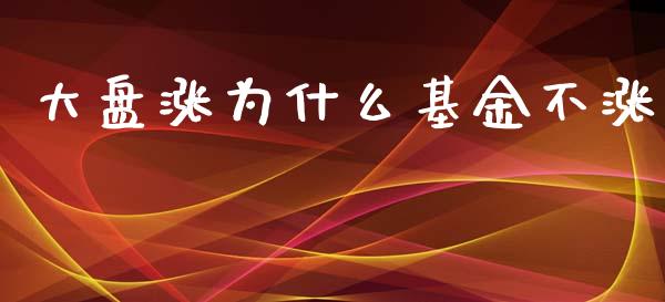 大盘涨为什么基金不涨_https://wap.78312.cn_财经新闻_第1张