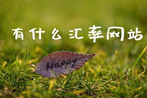 有什么汇率网站_https://wap.78312.cn_财经新闻_第1张