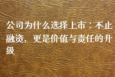 公司为什么选择上市：不止融资，更是价值与责任的升级_https://wap.78312.cn_期货开户_第1张