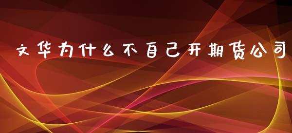 文华为什么不自己开期货公司_https://wap.78312.cn_金融监管_第1张
