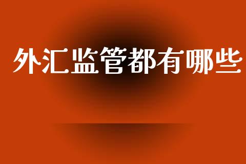 外汇监管都有哪些_https://wap.78312.cn_金融监管_第1张