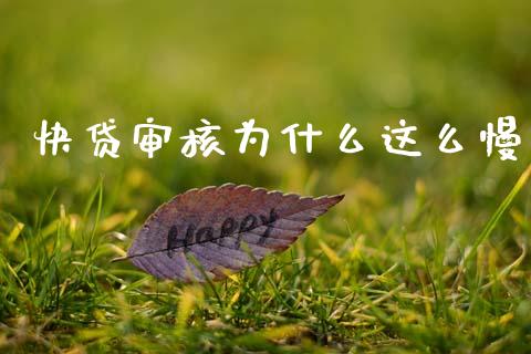 快贷审核为什么这么慢_https://wap.78312.cn_债券资讯_第1张