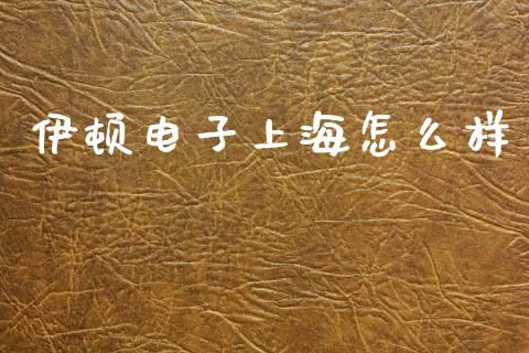 伊顿电子上海怎么样_https://wap.78312.cn_债券资讯_第1张