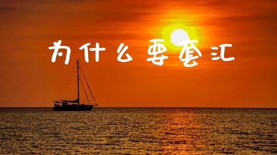 为什么要套汇_https://wap.78312.cn_外汇交易_第1张
