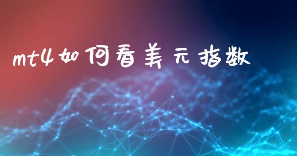 mt4如何看美元指数_https://wap.78312.cn_全球市场_第1张