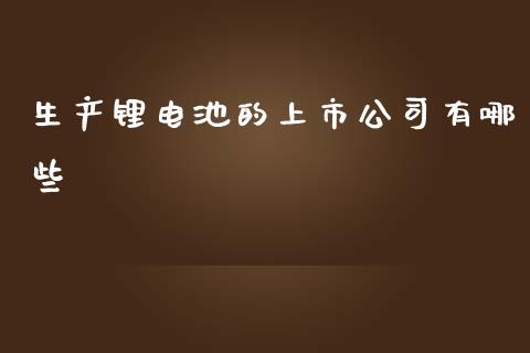 生产锂电池的上市公司有哪些_https://wap.78312.cn_金融监管_第1张