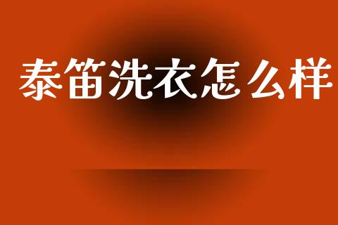泰笛洗衣怎么样_https://wap.78312.cn_外汇交易_第1张