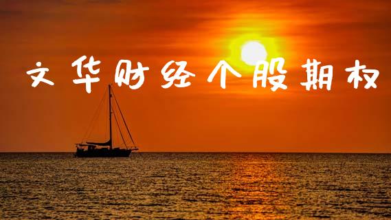 文华财经个股期权_https://wap.78312.cn_期货开户_第1张