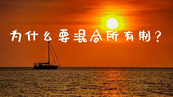 为什么要混合所有制？_https://wap.78312.cn_债券资讯_第1张
