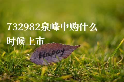 732982泉峰申购什么时候上市_https://wap.78312.cn_财经新闻_第1张