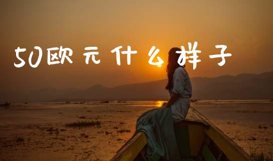 50欧元什么样子_https://wap.78312.cn_财经新闻_第1张