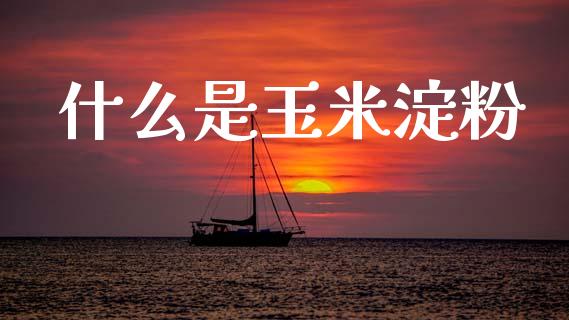 什么是玉米淀粉_https://wap.78312.cn_金融监管_第1张
