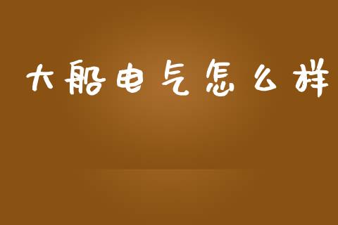 大船电气怎么样_https://wap.78312.cn_财经新闻_第1张
