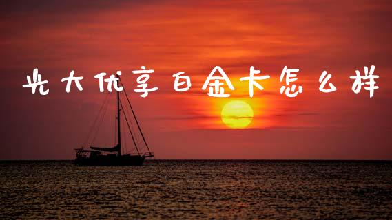 光大优享白金卡怎么样_https://wap.78312.cn_外汇交易_第1张