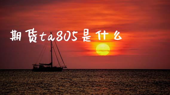 期货ta805是什么_https://wap.78312.cn_债券资讯_第1张