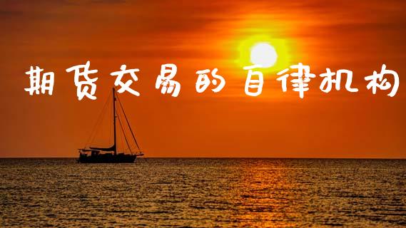 期货交易的自律机构_https://wap.78312.cn_期货开户_第1张