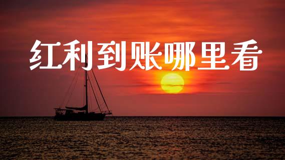 红利到账哪里看_https://wap.78312.cn_债券资讯_第1张