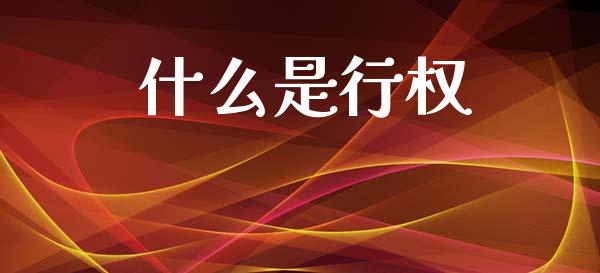 什么是行权_https://wap.78312.cn_外汇交易_第1张