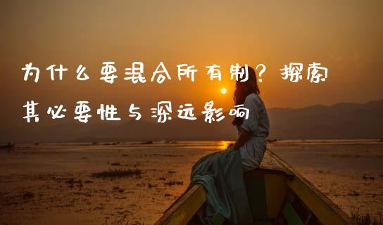 为什么要混合所有制？探索其必要性与深远影响_https://wap.78312.cn_债券资讯_第1张