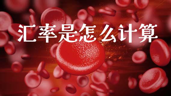 汇率是怎么计算_https://wap.78312.cn_外汇交易_第1张