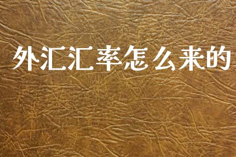 外汇汇率怎么来的_https://wap.78312.cn_金融监管_第1张