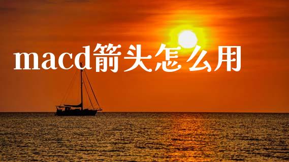 macd箭头怎么用_https://wap.78312.cn_金融监管_第1张
