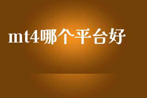 mt4哪个平台好_https://wap.78312.cn_金融监管_第1张