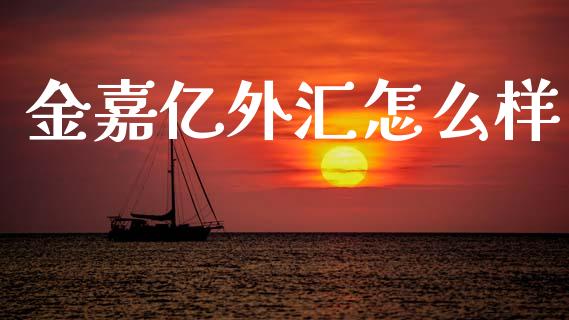 金嘉亿外汇怎么样_https://wap.78312.cn_外汇交易_第1张