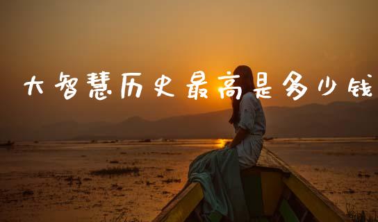 大智慧历史最高是多少钱_https://wap.78312.cn_财经新闻_第1张