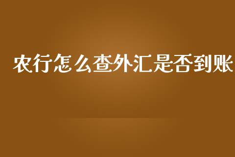 农行怎么查外汇是否到账_https://wap.78312.cn_期货开户_第1张