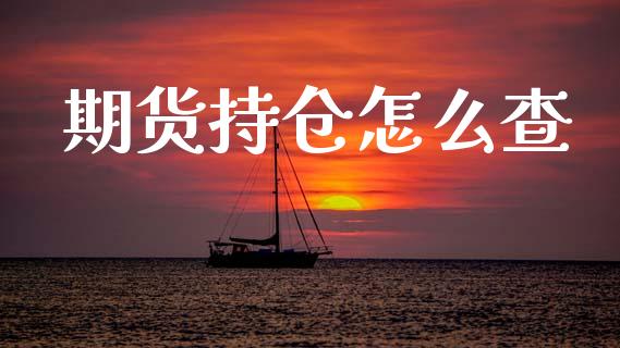 期货持仓怎么查_https://wap.78312.cn_金融监管_第1张
