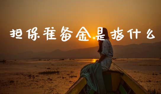 担保准备金是指什么_https://wap.78312.cn_财经新闻_第1张