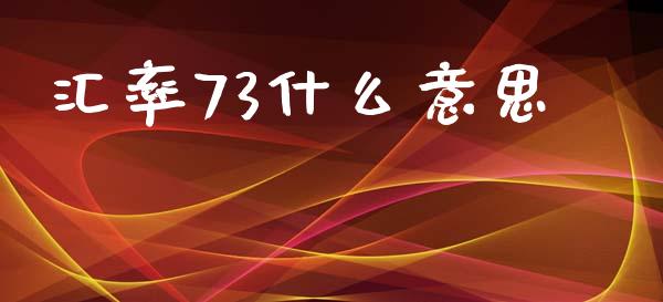 汇率73什么意思_https://wap.78312.cn_全球市场_第1张